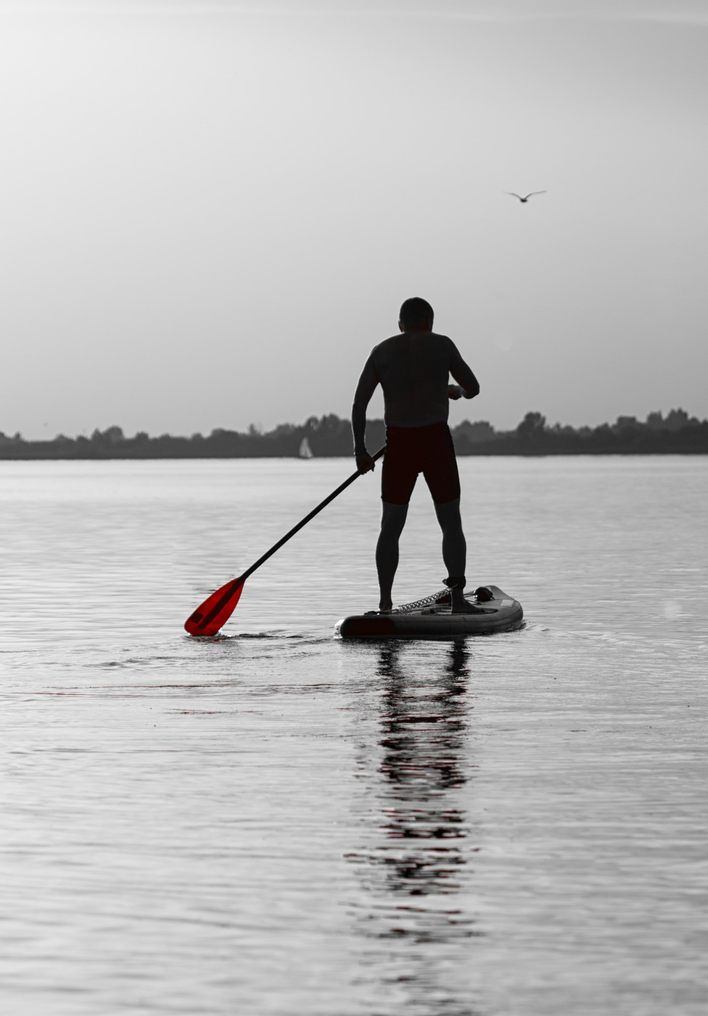 Surfer