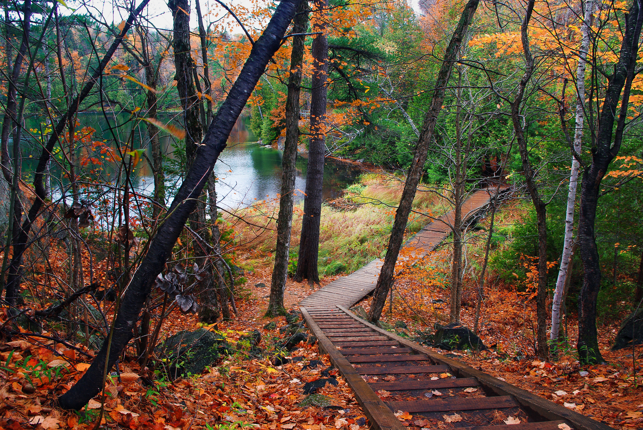 Gatineau Park