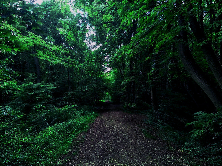 Wilds of France by Talal Abbasi / 500px | @500px