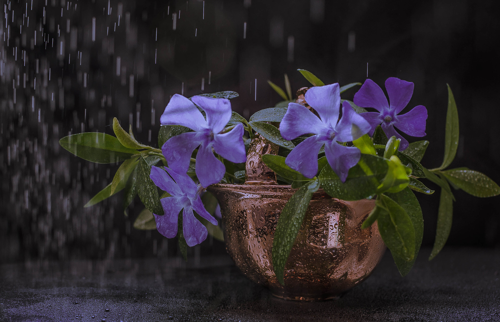 Влага. The moisture.