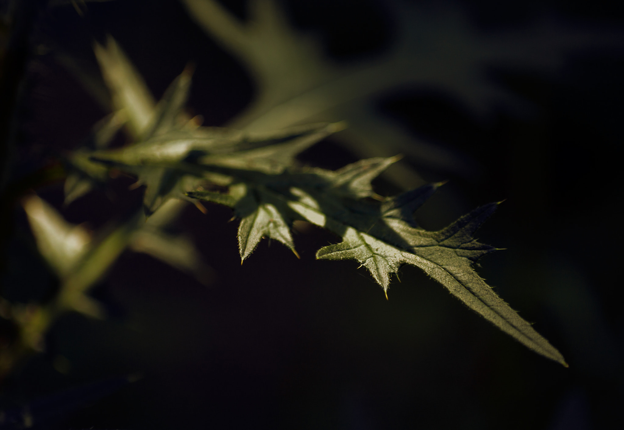 v2?sig=de9264f6aebc0ccd350d5ef98be0496b9dd563f1f48ecc65f760eb863d803d5e