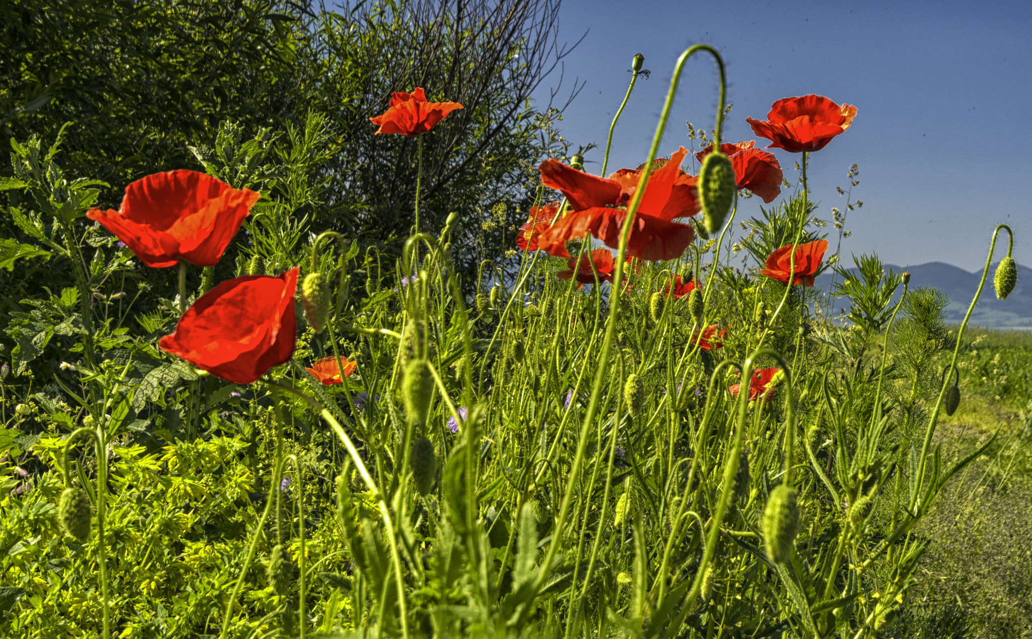 v2?sig=2ff3f277e7243097045b4d3f61d442adf7102d0463ed977637d9eda7f8f93f0e