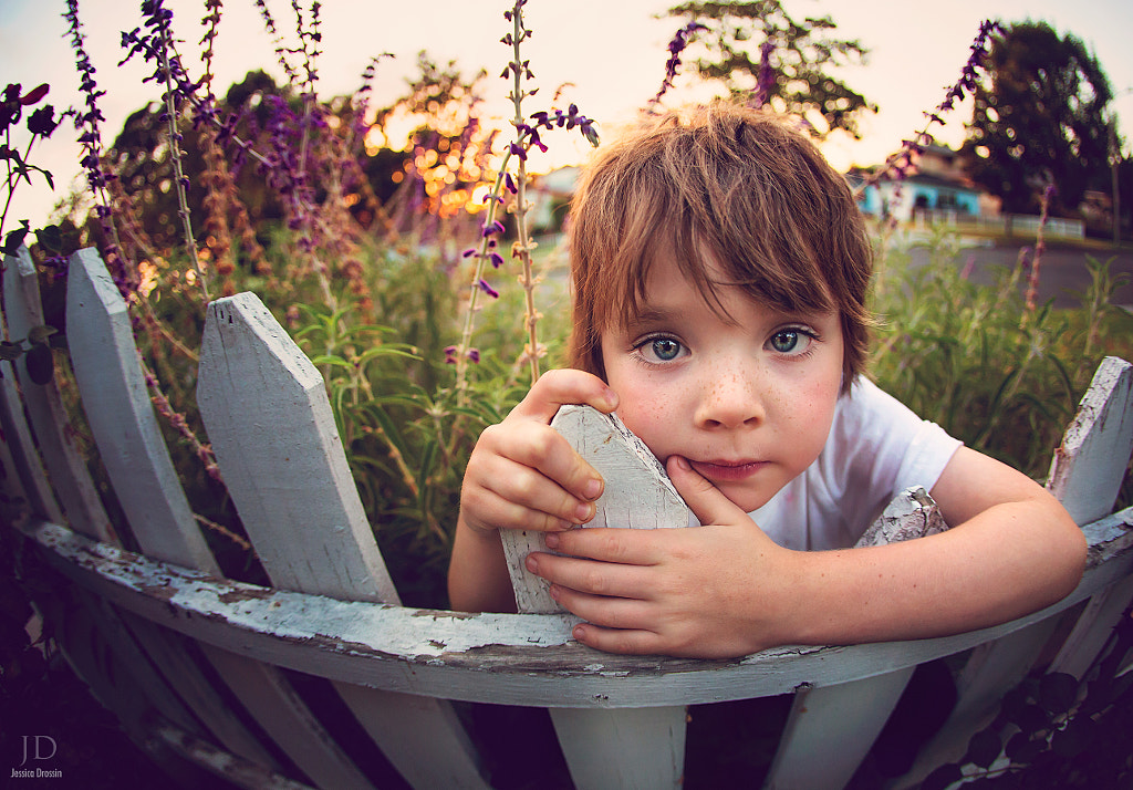 On the Fence by Jessica Drossin on 500px.com