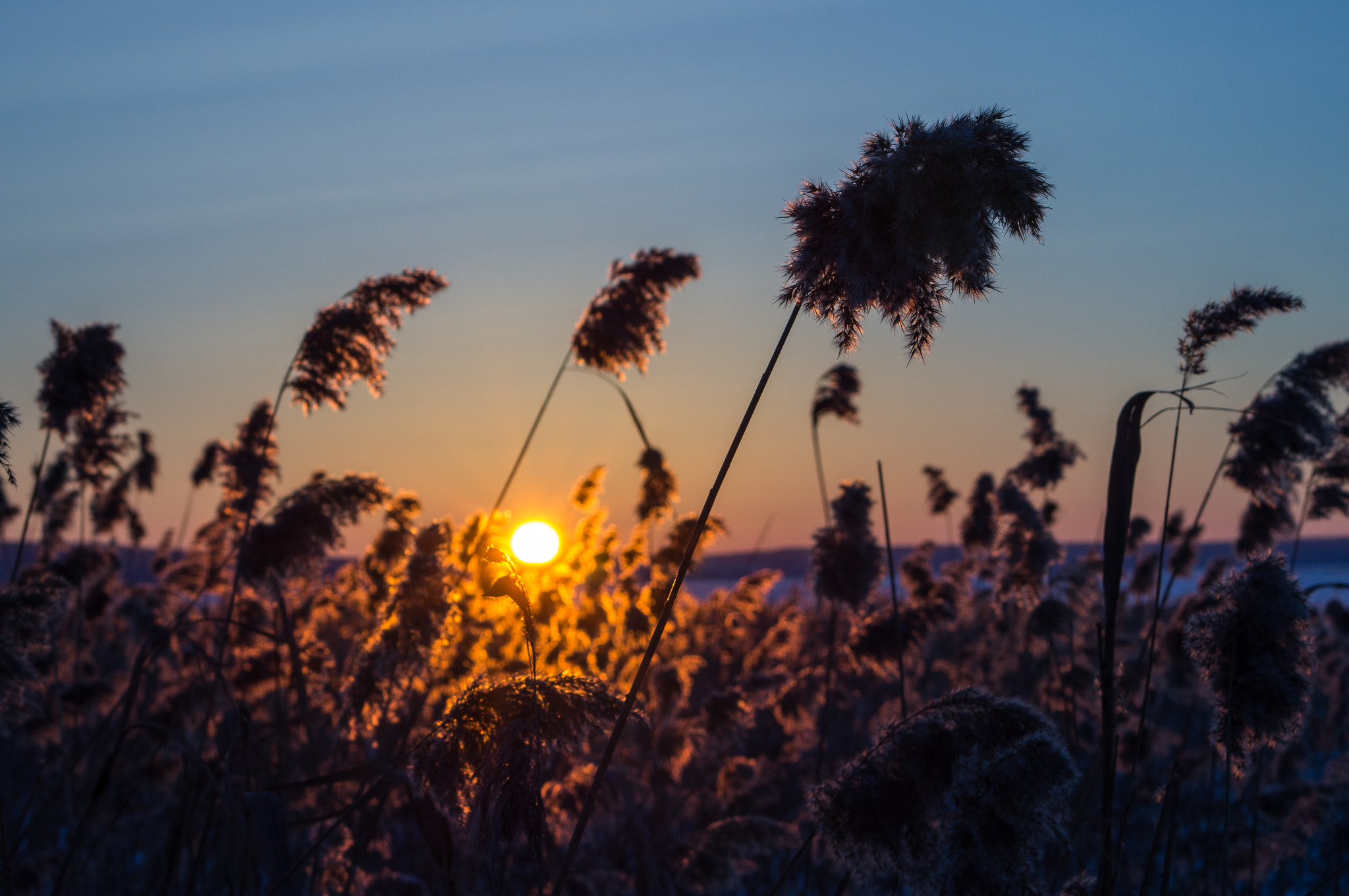 Winter sunset