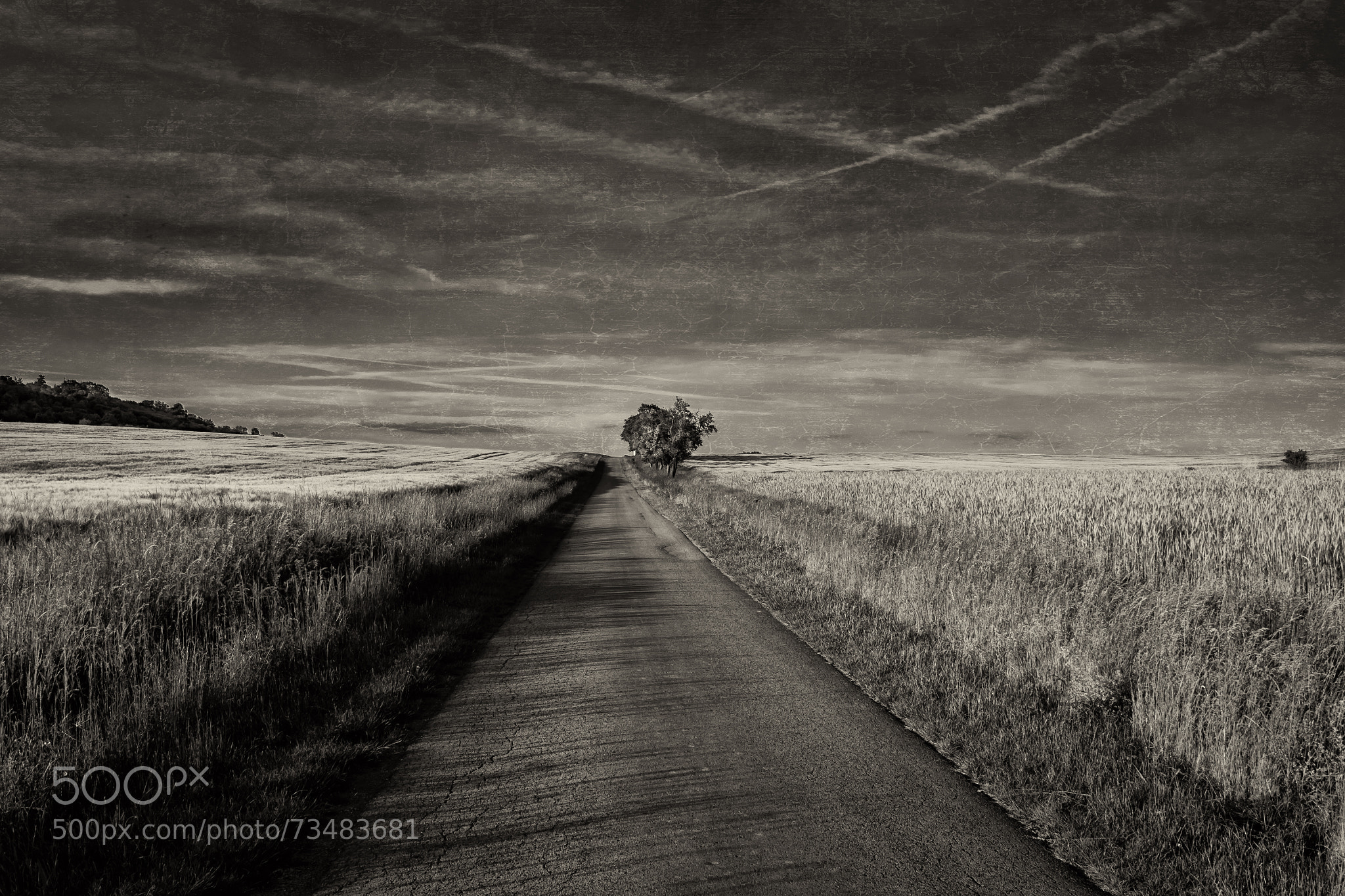 The Road was Blue
