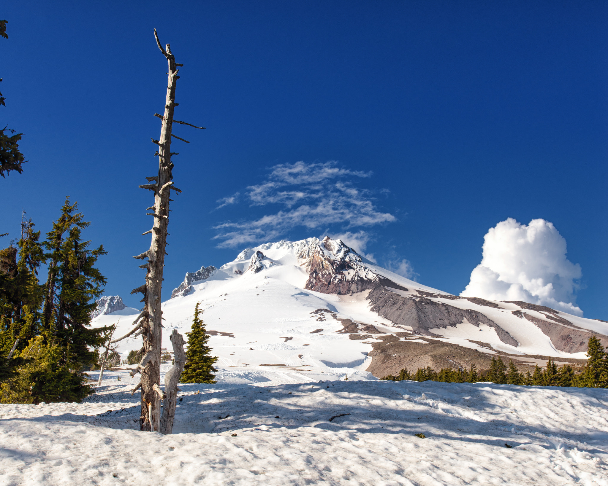 Remnants Of Winter