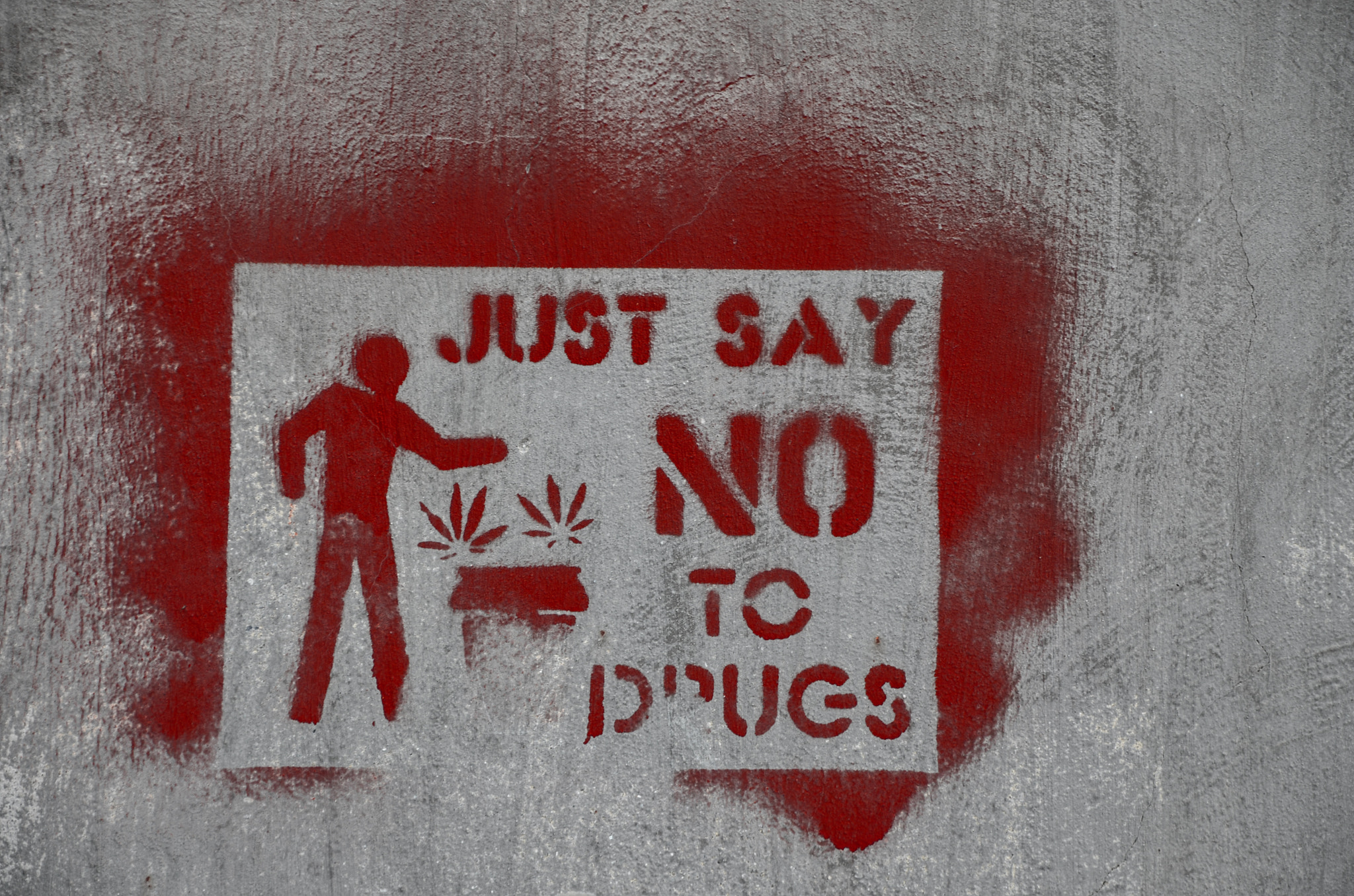 No drugs