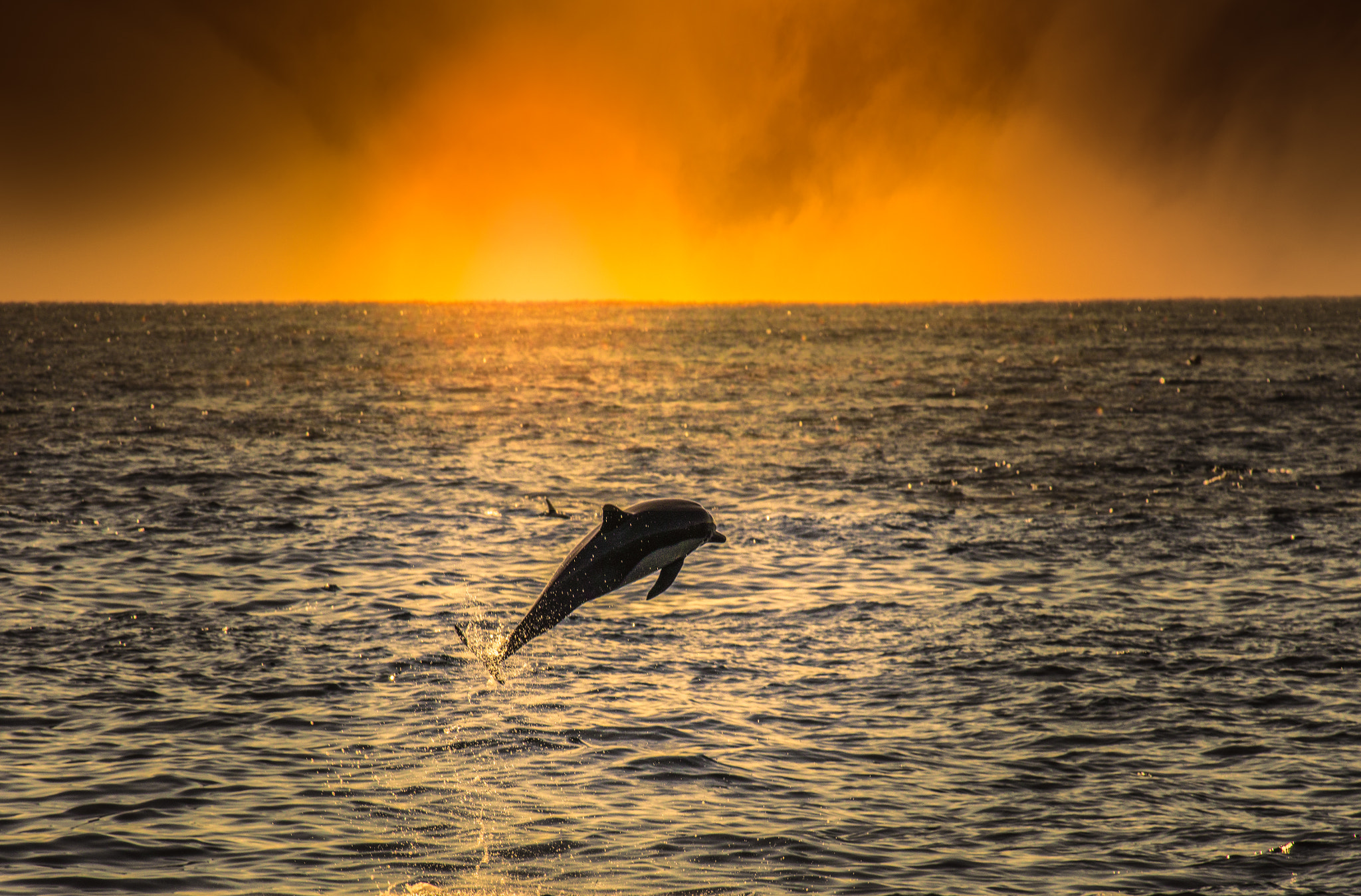 v2?sig=68999a229fa6cc9e0edadc0372e9ba5364cca7f840292de5c7298f4441cf5c94