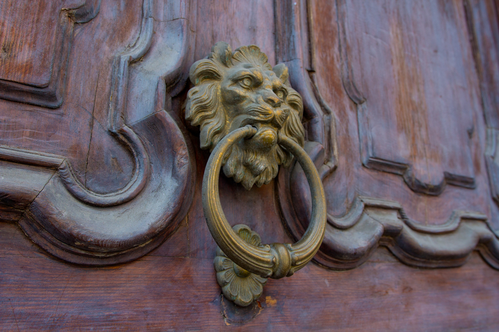 Lion doorknocker