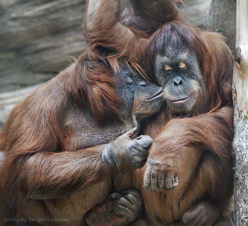 I love you, my baby by sergei gladyshev on 500px.com