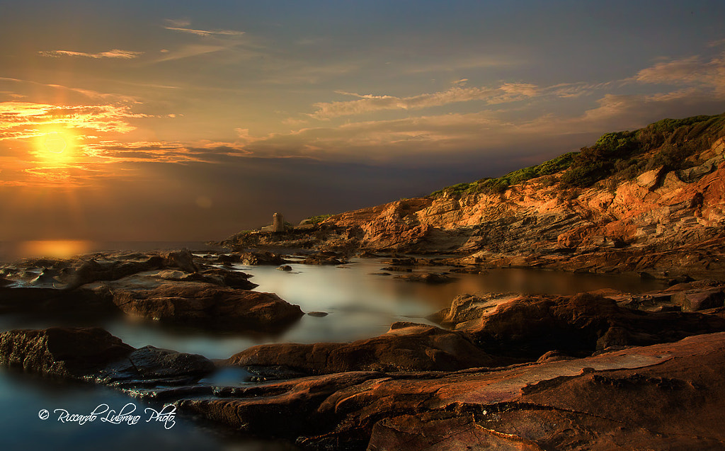 Sunset cliff leghorn