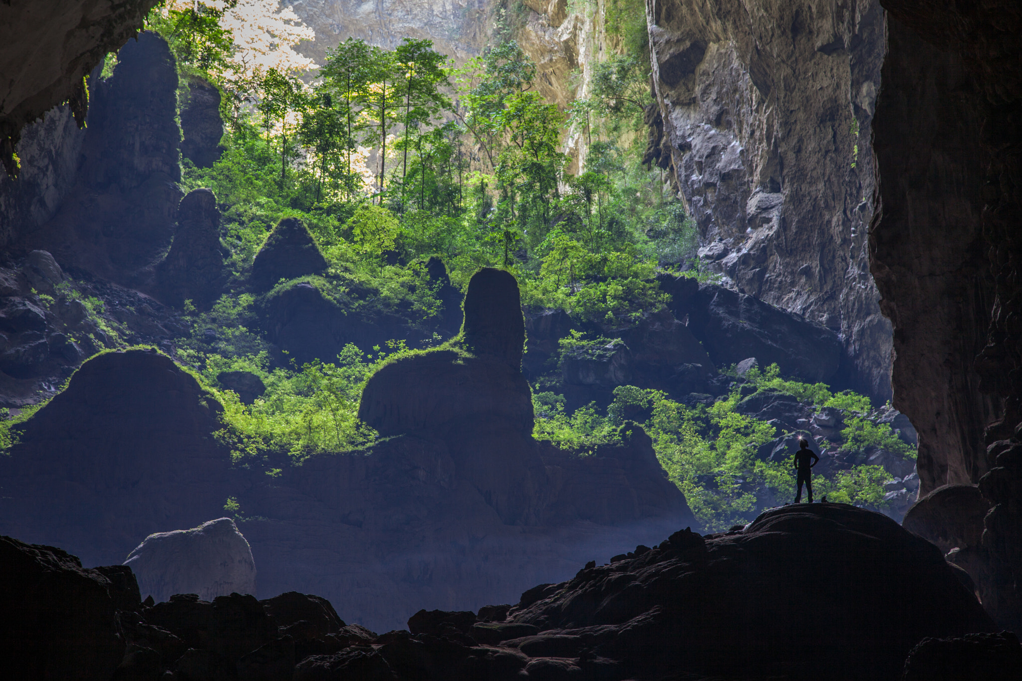Underground forest by john spies / 500px