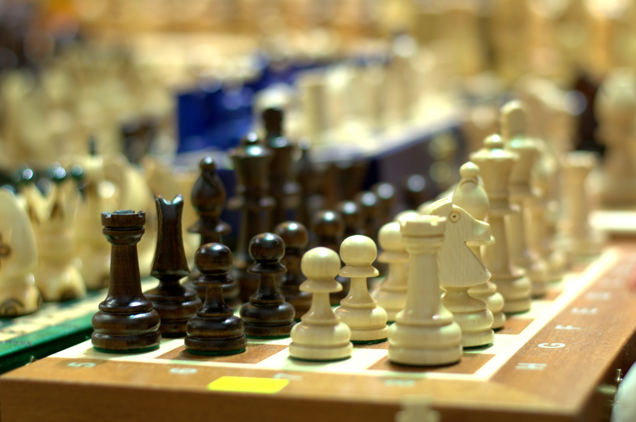 Chess kingdom