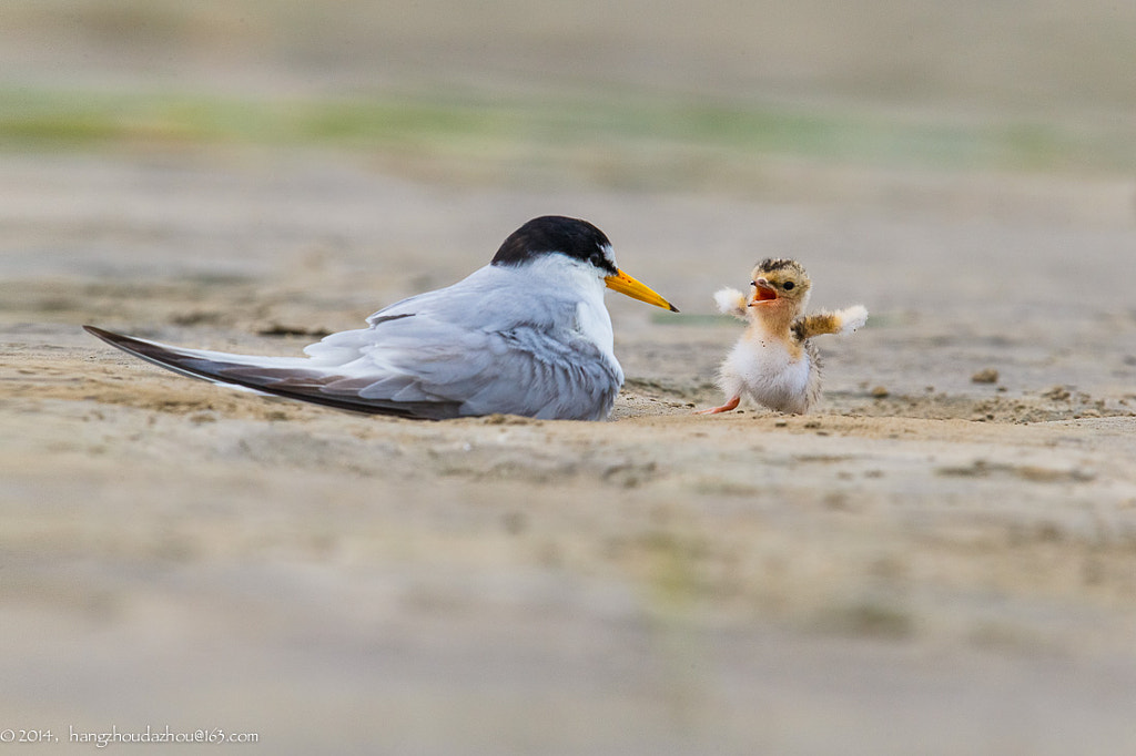 Mum, hungry by David McCann on 500px.com