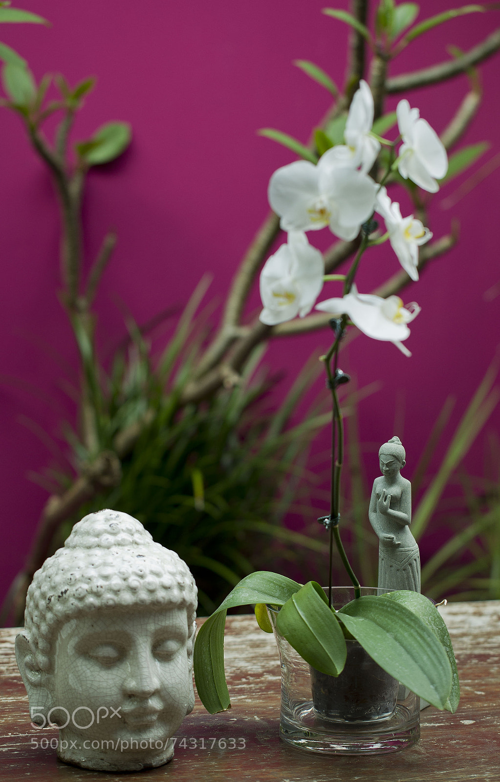 Canon EOS-1D Mark IV sample photo. Orchard and buddha photography