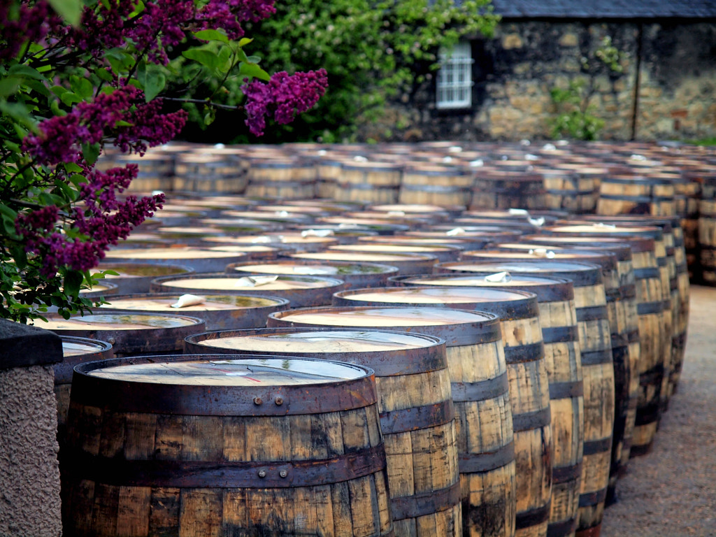 Whisky barrels by Sandy G on 500px.com