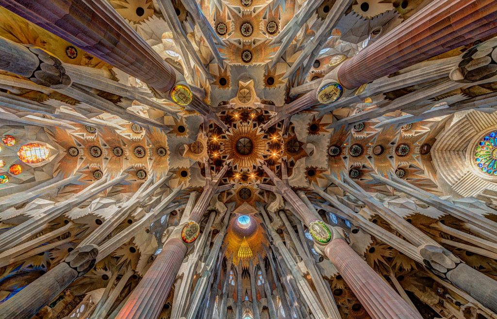 Ceiling of La Sagrada Familia, Barcelona by William Toti on 500px.com