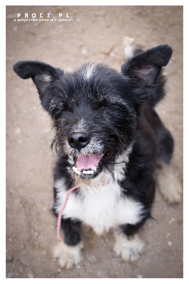 v2?sig=c1cfc26f9ac65d716bb0abdac684fb290fd13bfed2fa33d4502ba8823b12bf04