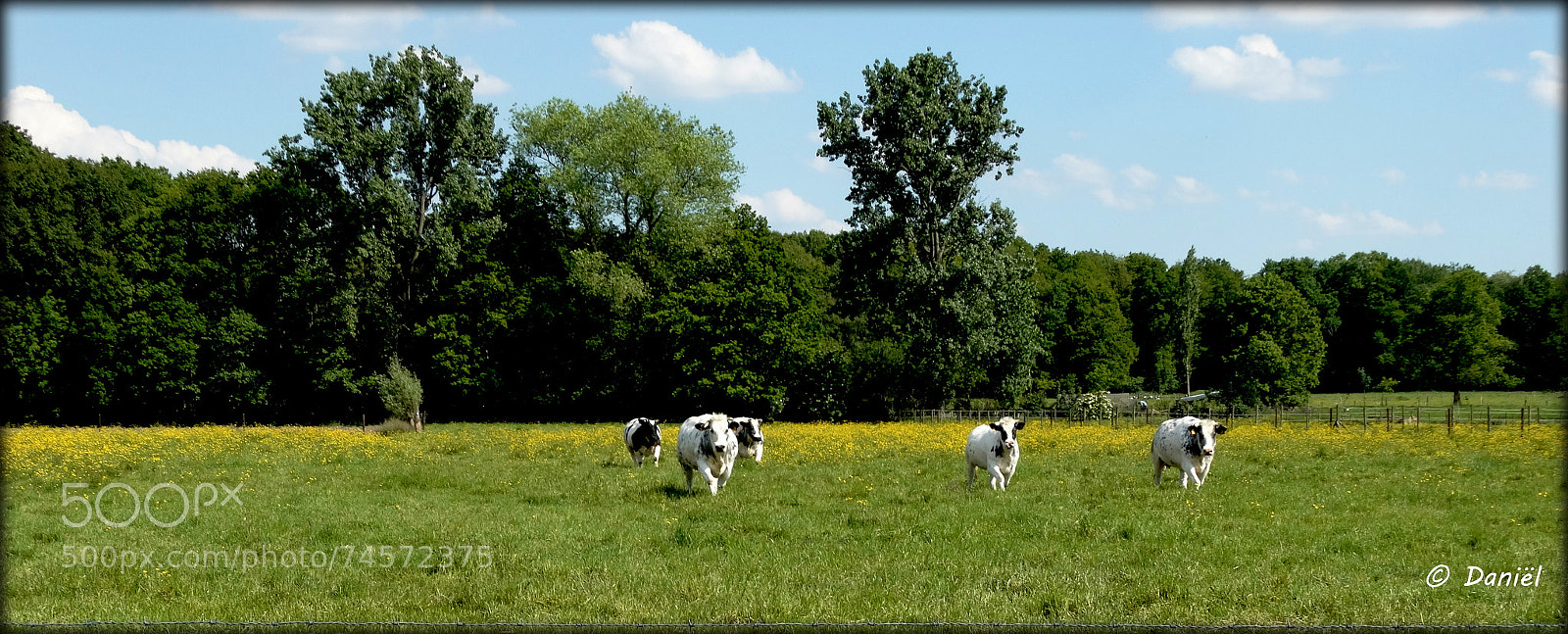 Sony Cyber-shot DSC-HX300 sample photo. We're coming ... .. . photography