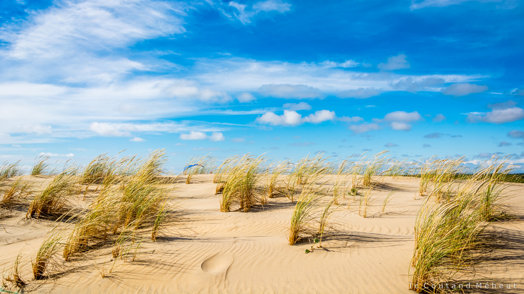 Like a desert by Jean-Christophe COUTAND MEHEUT on 500px.com