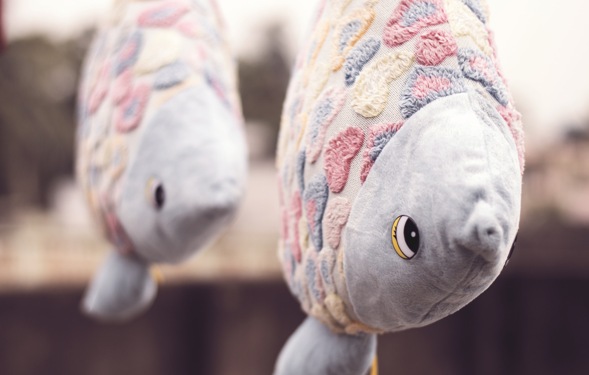 Fish Pillows