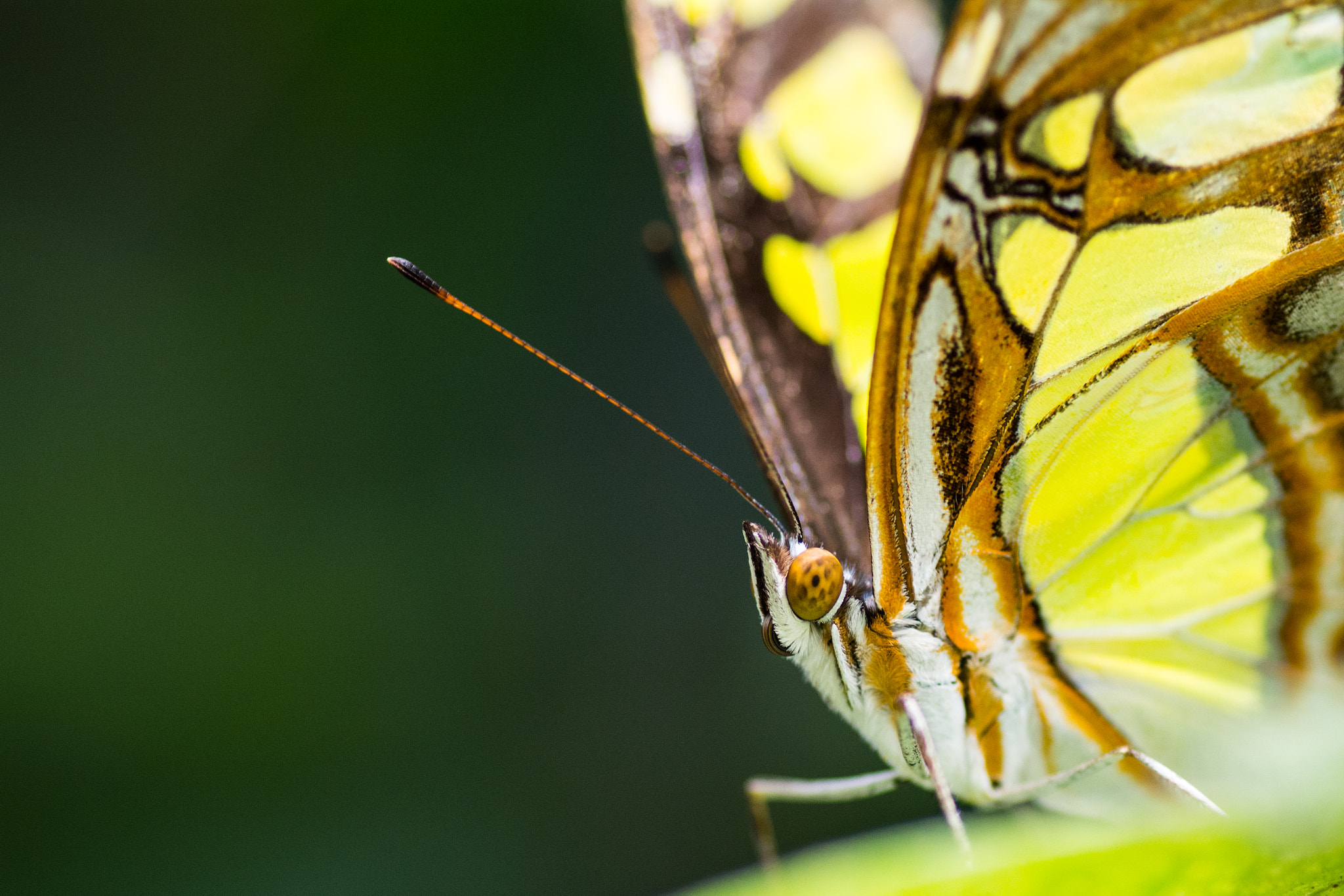 v2?sig=e9b9250820358238b7388266c58103667b3b3be4653a0c9e628fcb54ed77d024