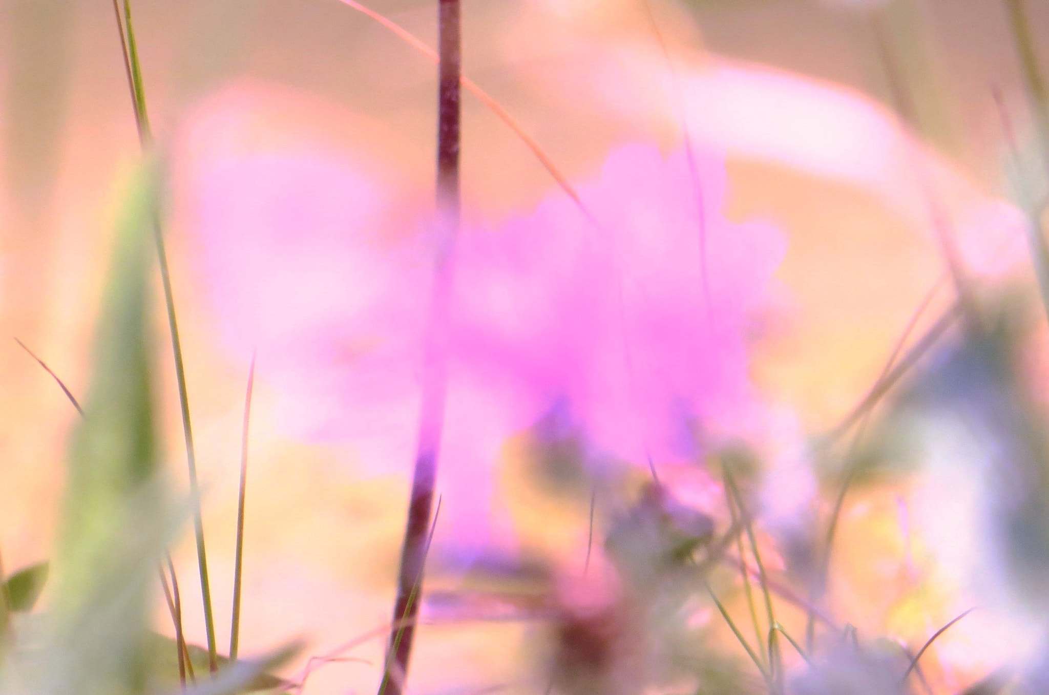 v2?sig=8140891e27c849647fb161501deb535ff8981f429e6f53c548003605d8853d8b