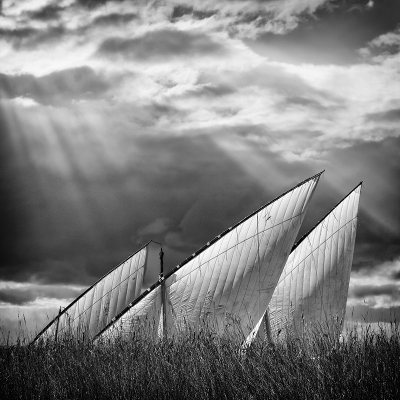 v2?sig=451abd9bb84f54f6112875c04f0066572c83a3808256fcc658da73daf337ee46