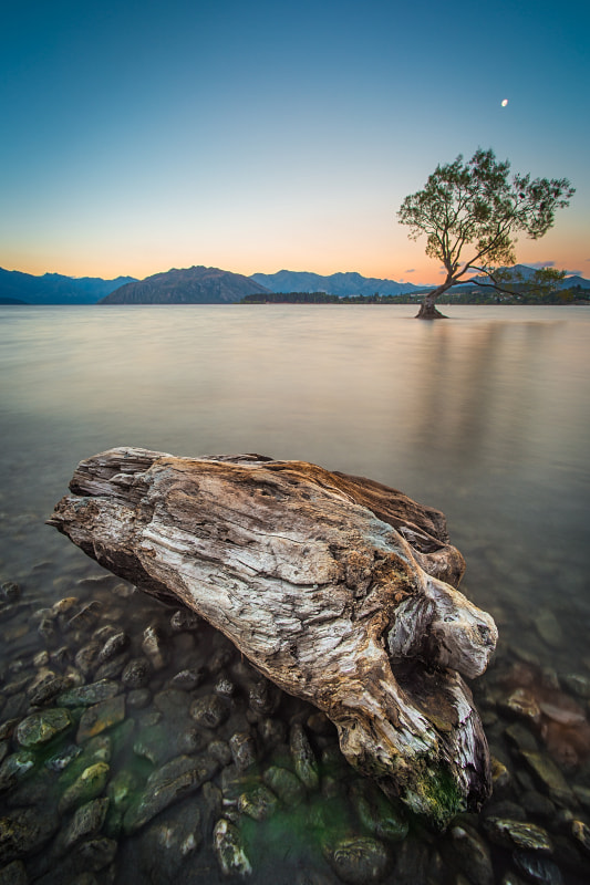 Piece of Wood by Sebastian  Warneke  on 500px.com