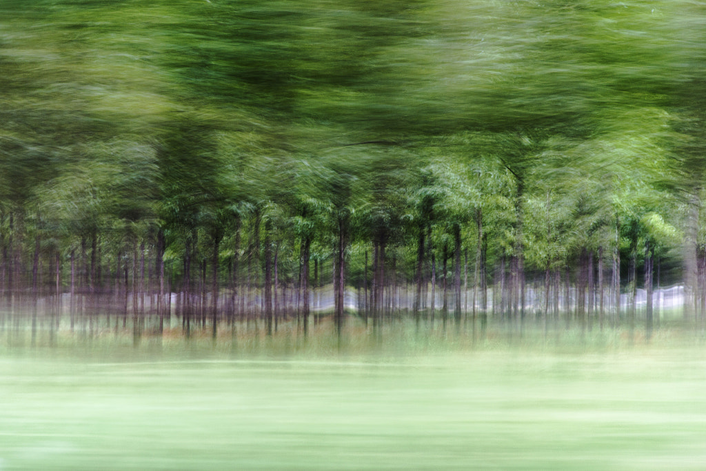 Passing Blurs by Humphrey Earwicker on 500px.com