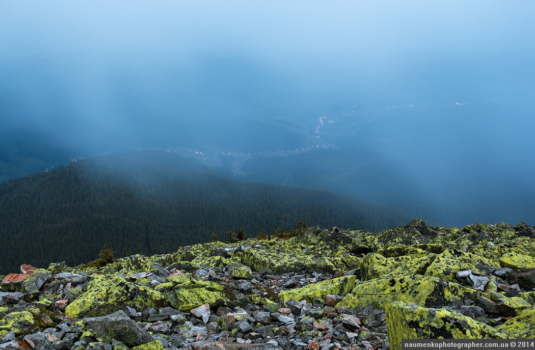 View from Mount Hamster. Road on Polyanicya