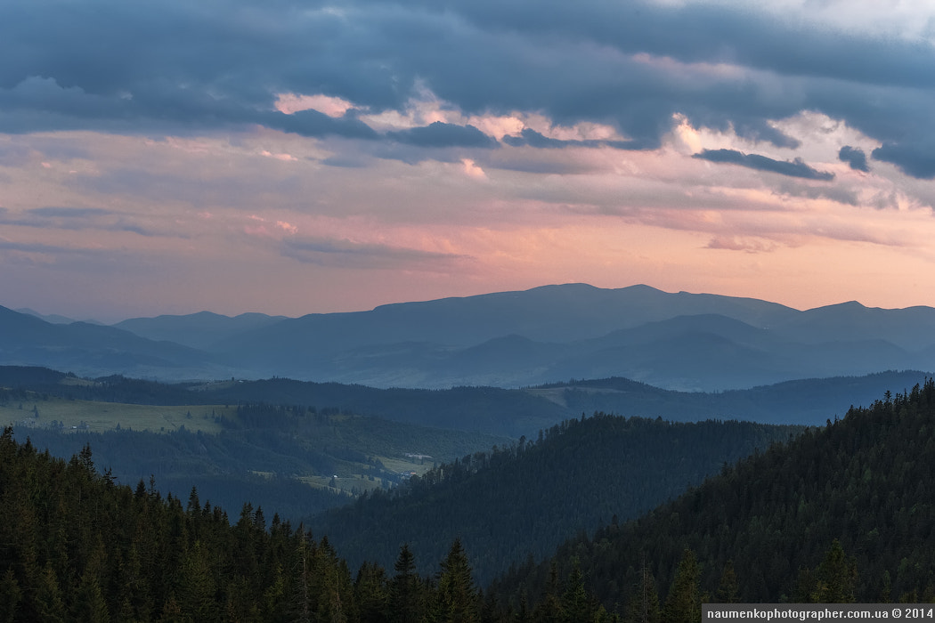 View from Polonyna Hamsters