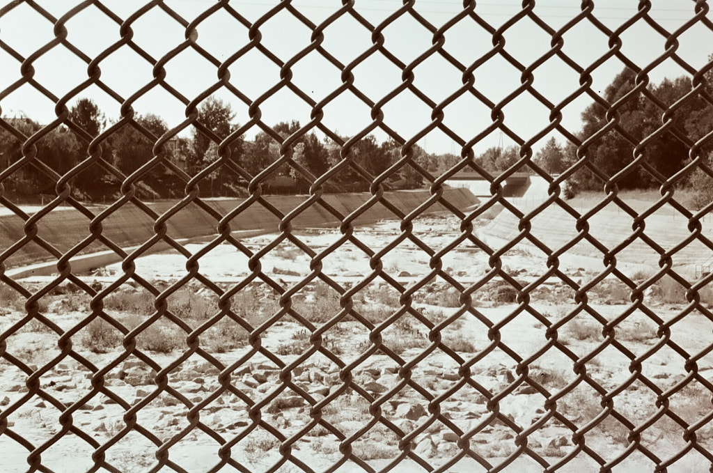 Through the Fence by Michael Stum on 500px