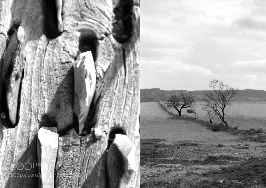 Canon EOS 550D (EOS Rebel T2i / EOS Kiss X4) sample photo. Piedras photography