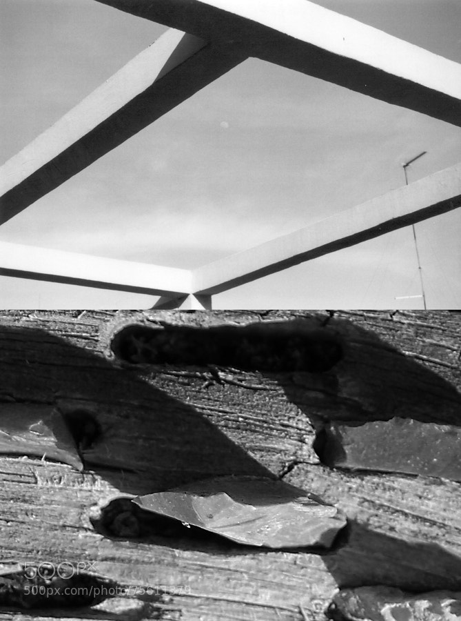 Canon EOS 550D (EOS Rebel T2i / EOS Kiss X4) sample photo. Piedras photography