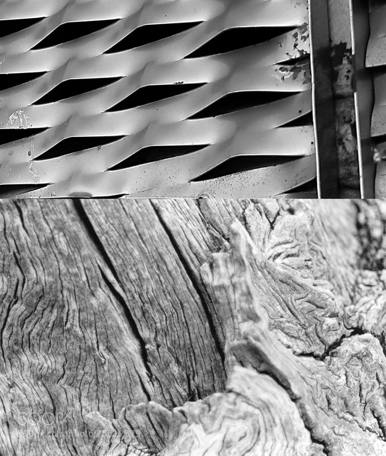 Canon EOS 550D (EOS Rebel T2i / EOS Kiss X4) sample photo. Vallas photography