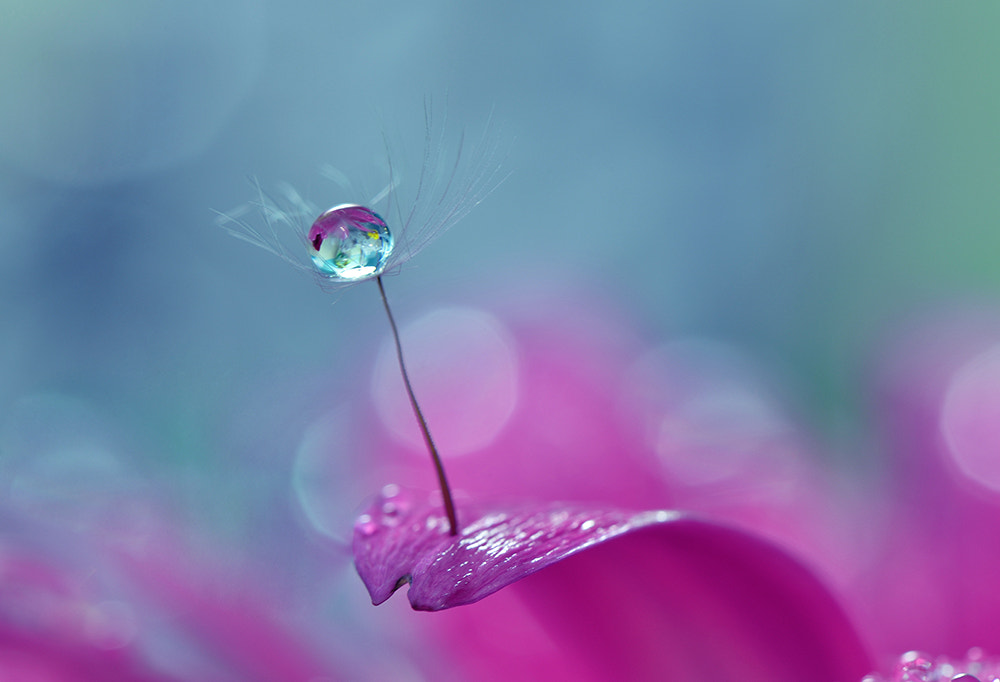 *o*o*o* by Juliana Nan on 500px.com