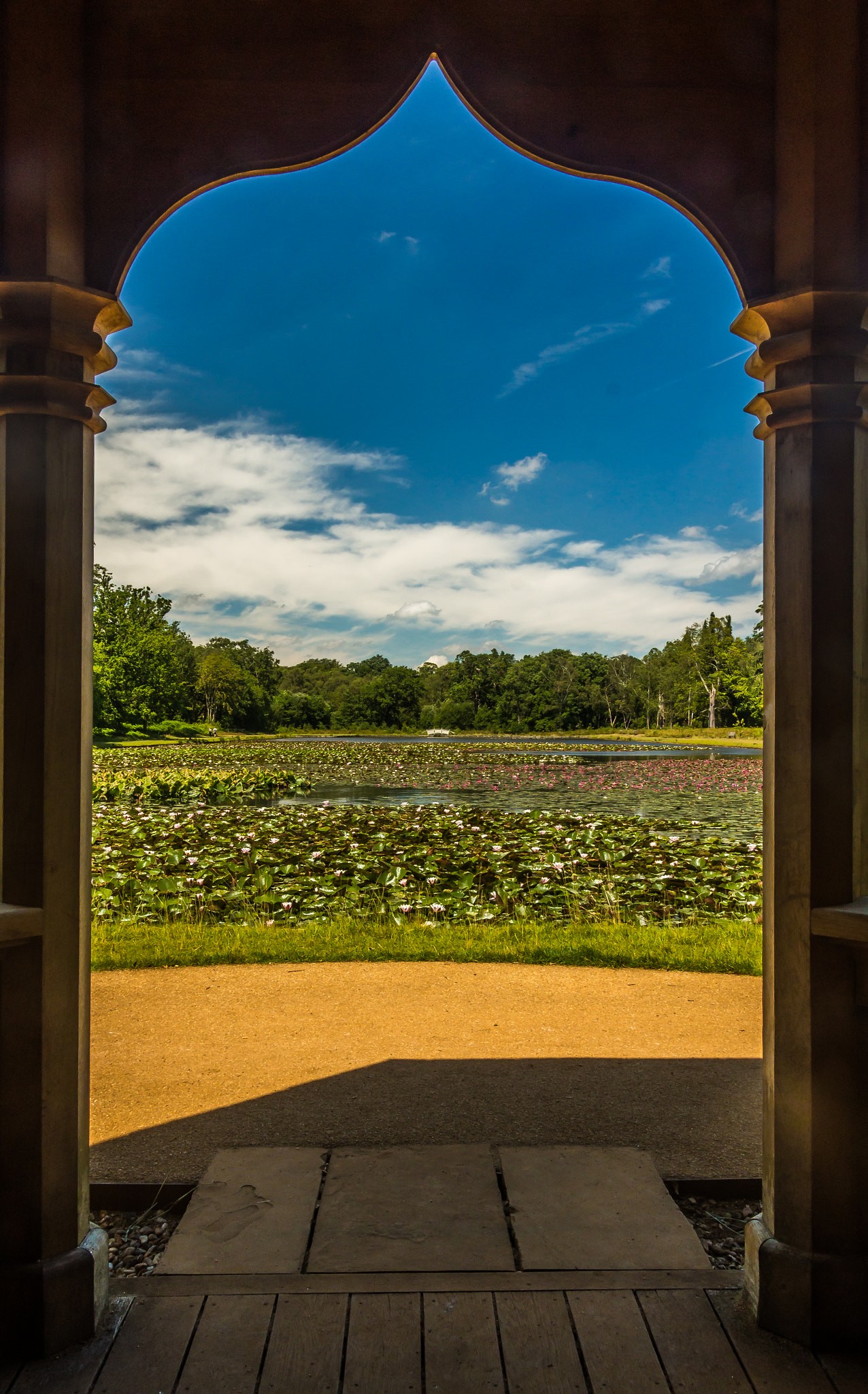 Framed lake of water lilies