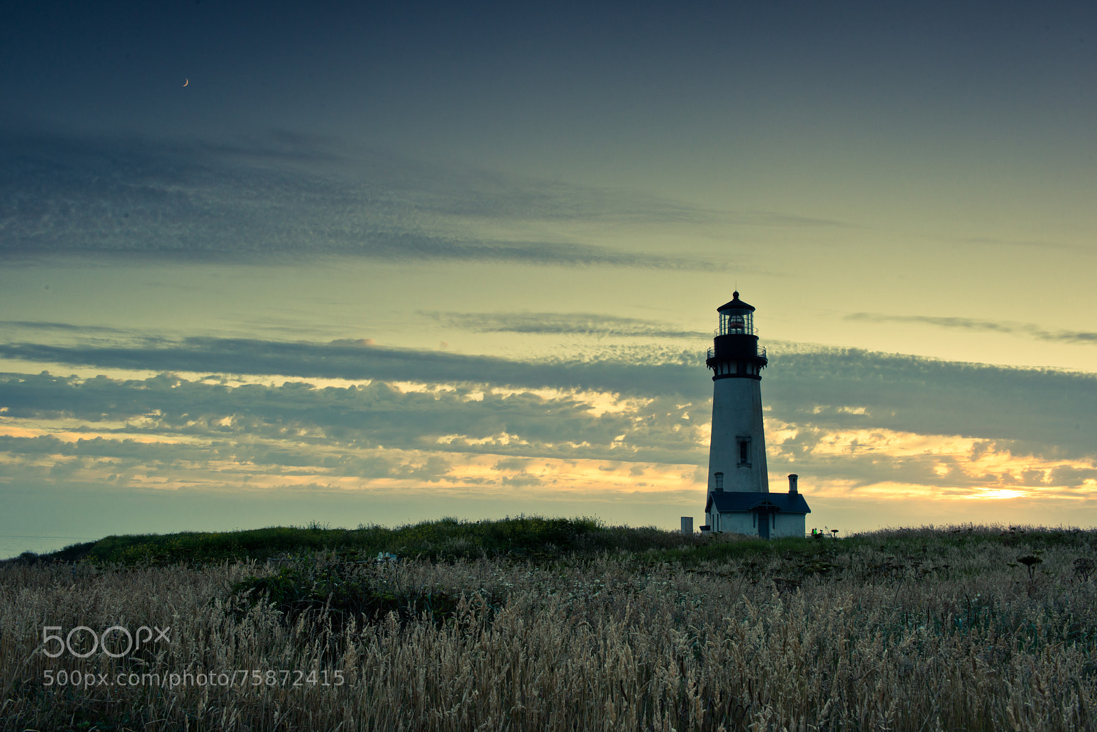 Nikon D800 sample photo. Yaquina head photography
