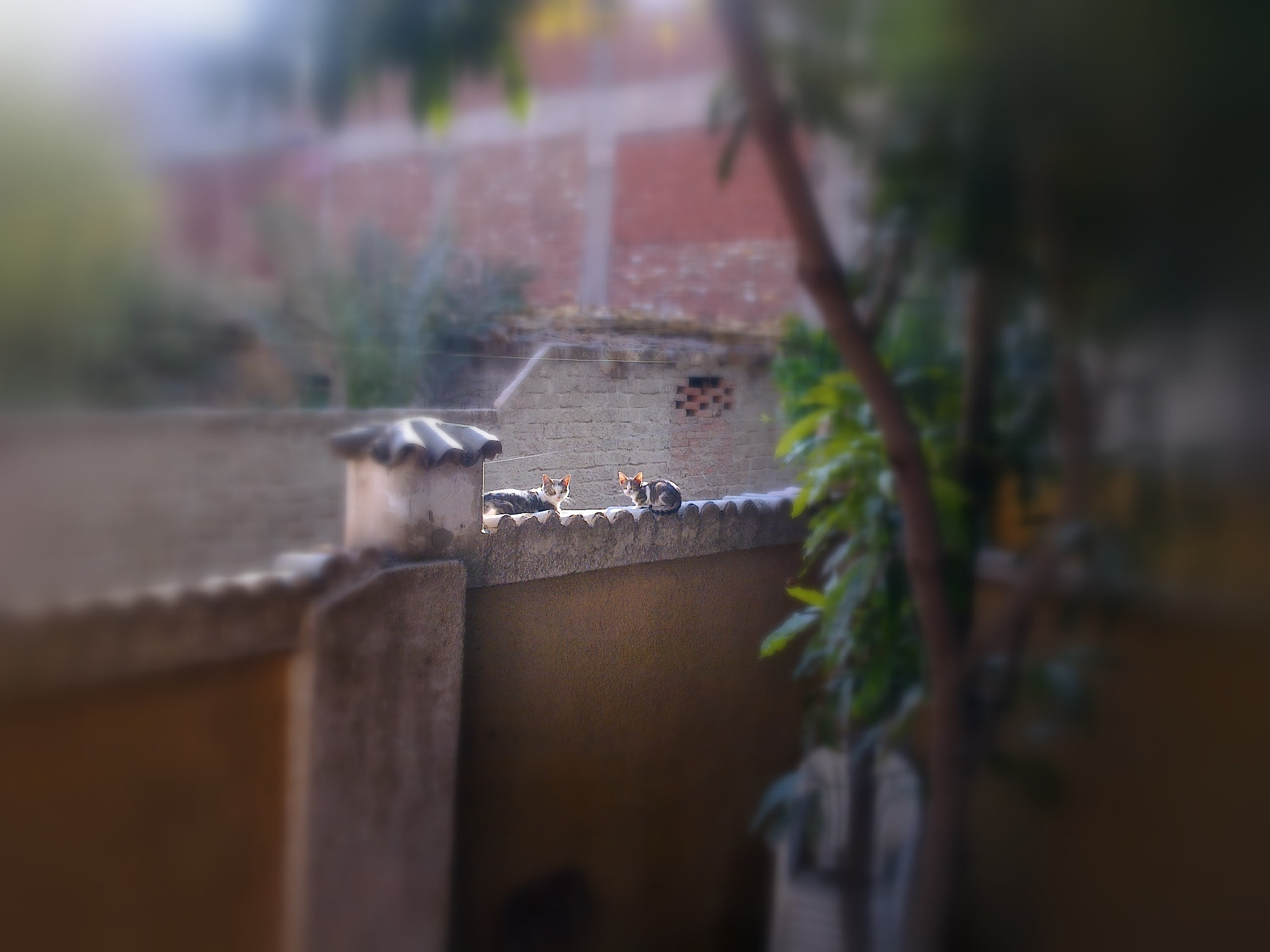 برق