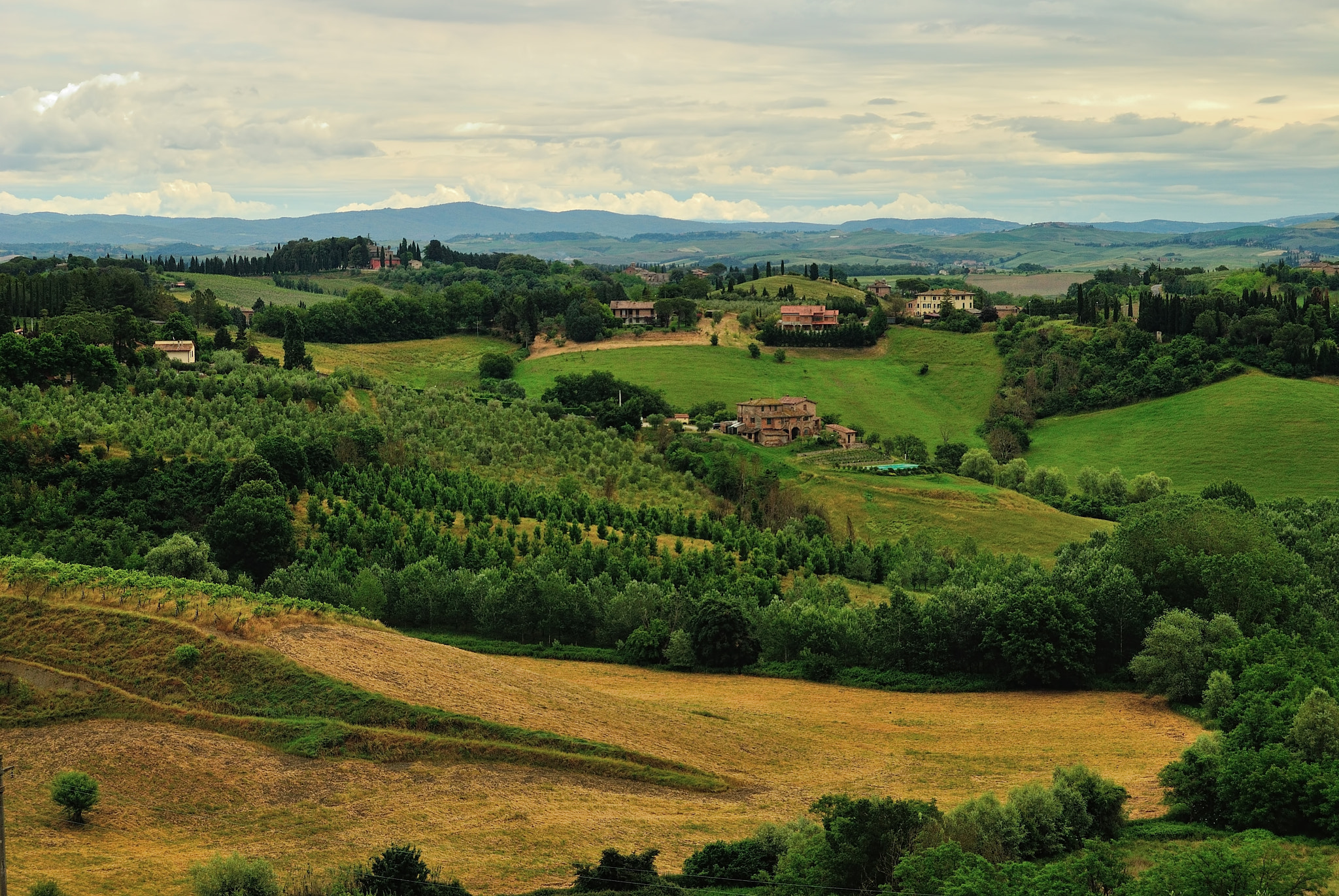 Colline attorno a Siena