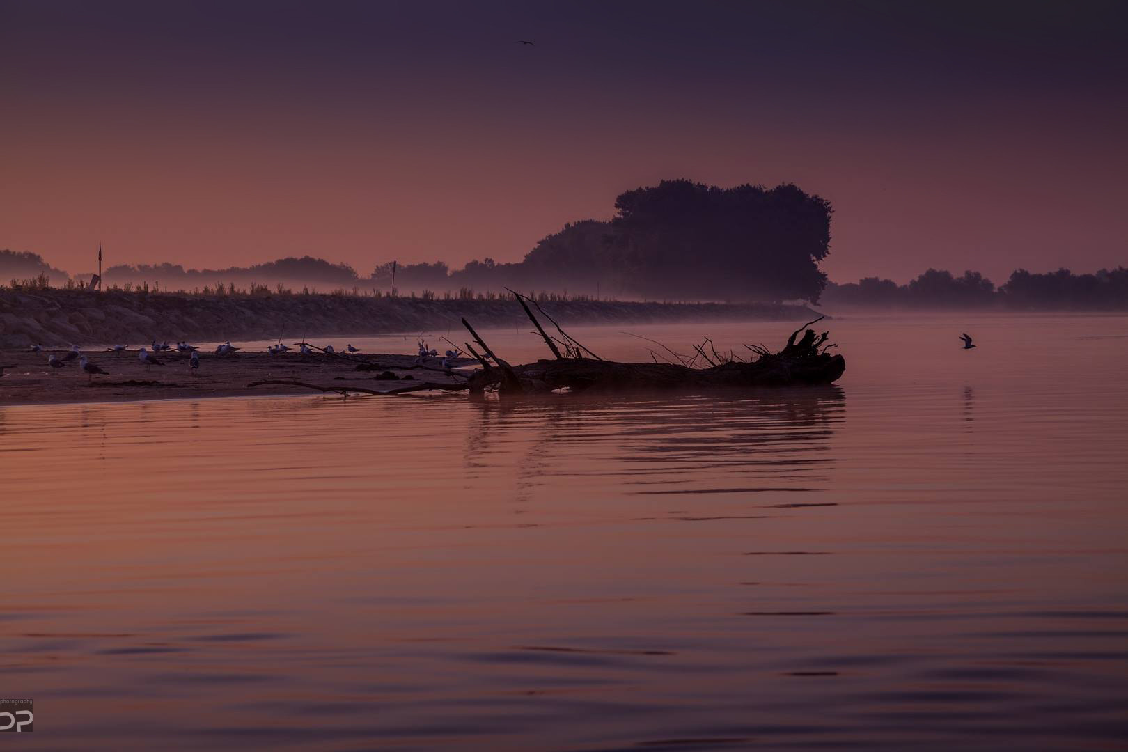 Danube Delta