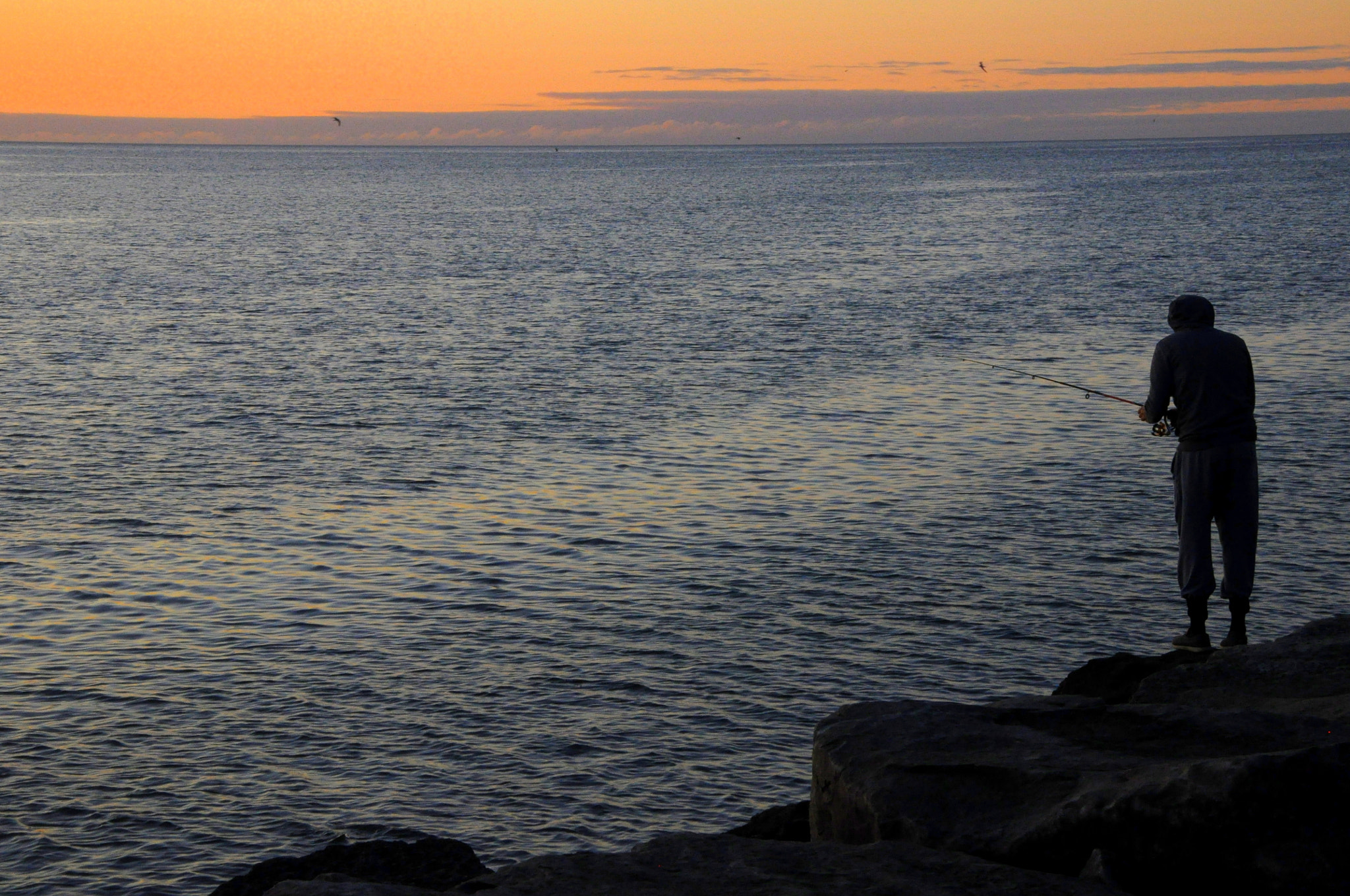 Early Riser, Port Credit.