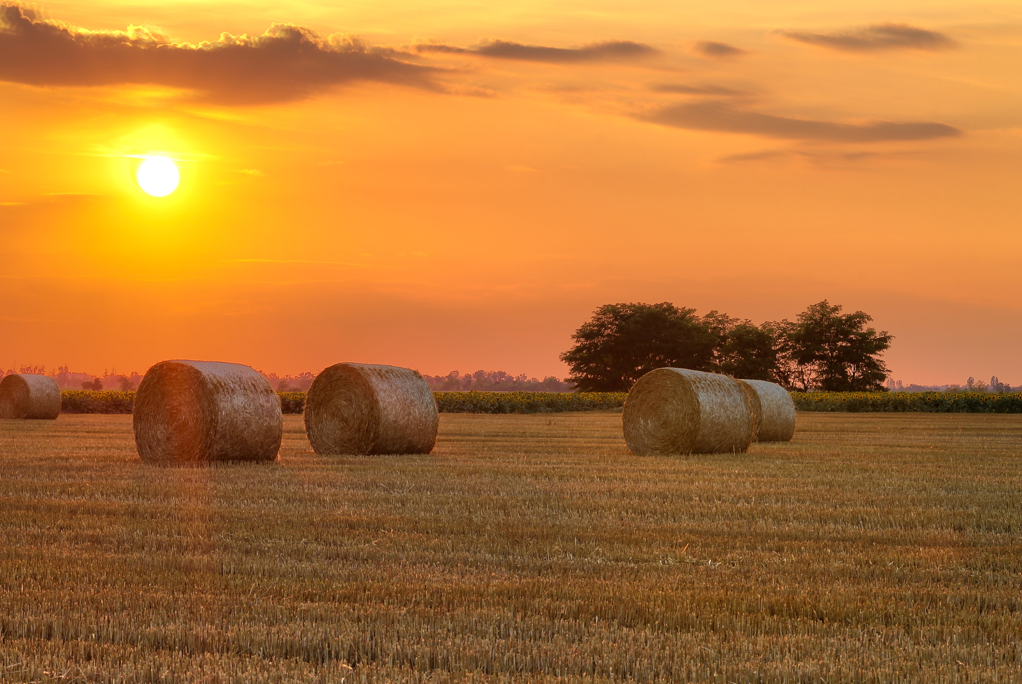 Sunset in July HDR