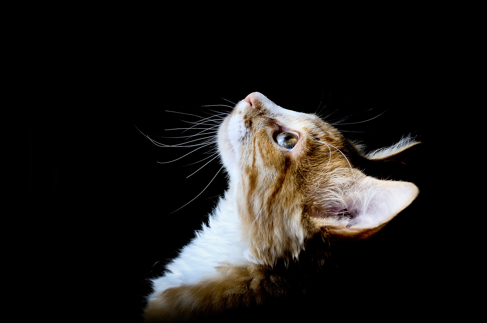 v2?sig=f59d00b17badf7f5e5d1e513a505597d6