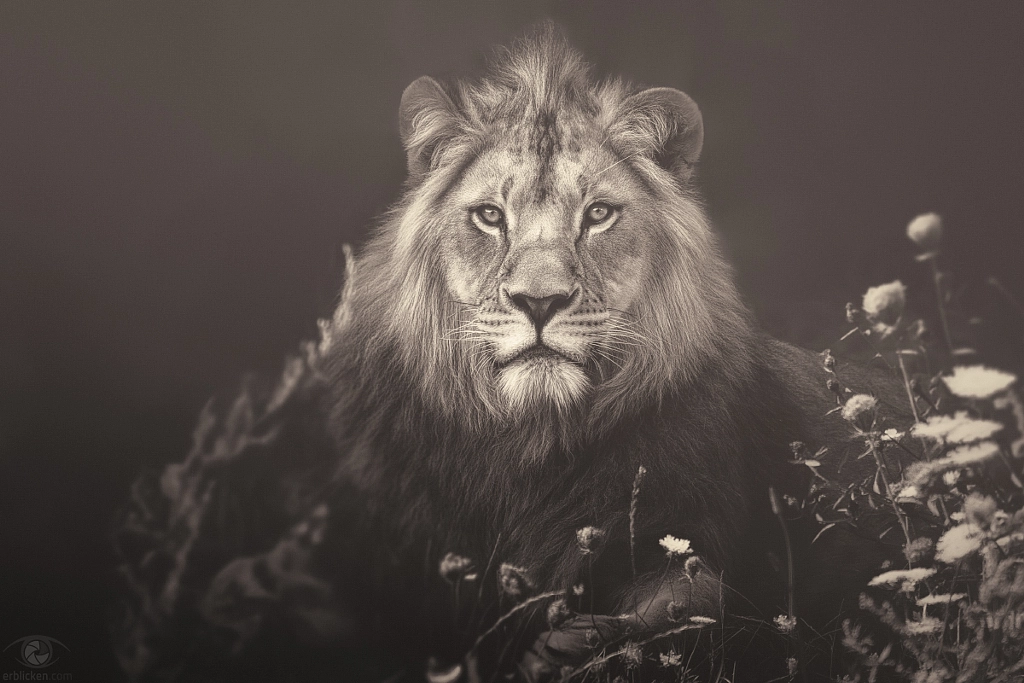 African souls: I by Manuela Kulpa on 500px.com