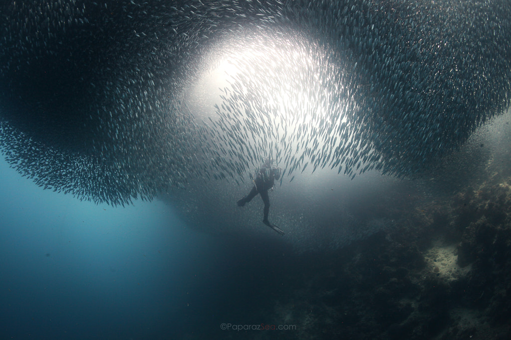 The Invasion by Jun V Lao on 500px.com