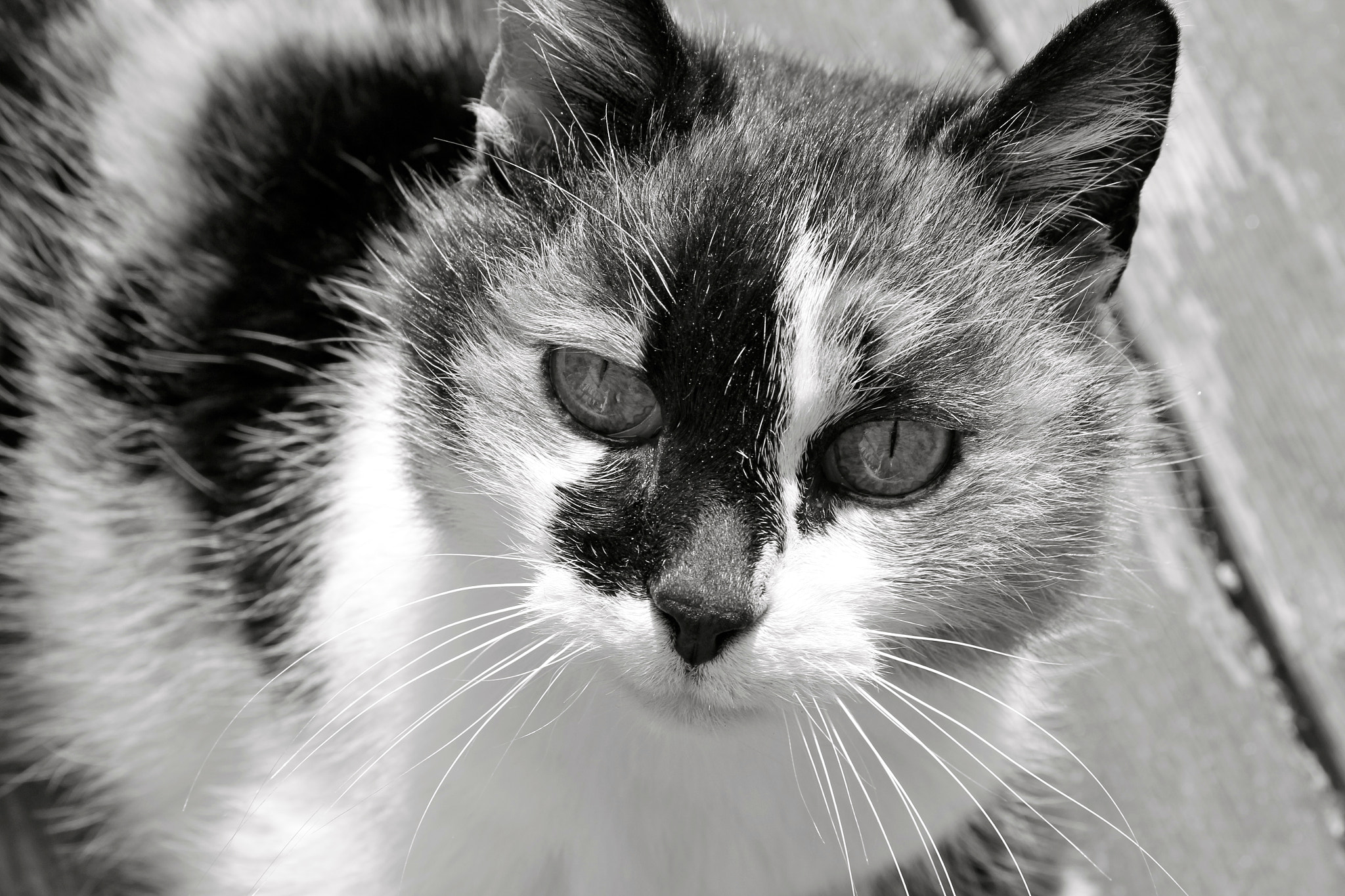 v2?sig=c2275ba67e2dc6ea4b0e7099ce55ee390e21f8c55cae2915b138aff264ffaeab