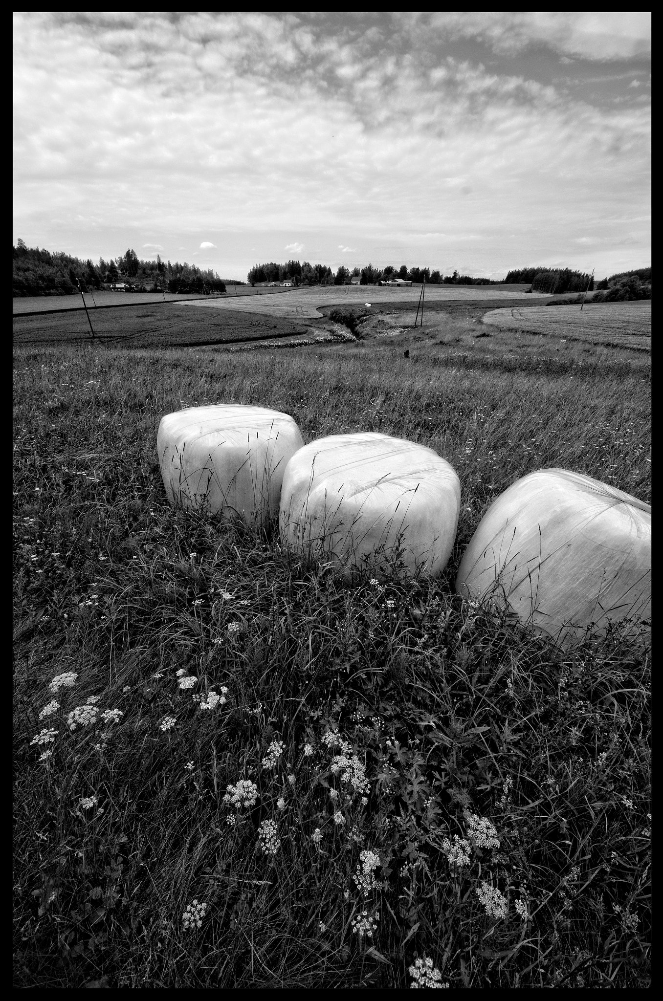 Sigma 8-16mm F4.5-5.6 DC HSM sample photo. Porvoo photography