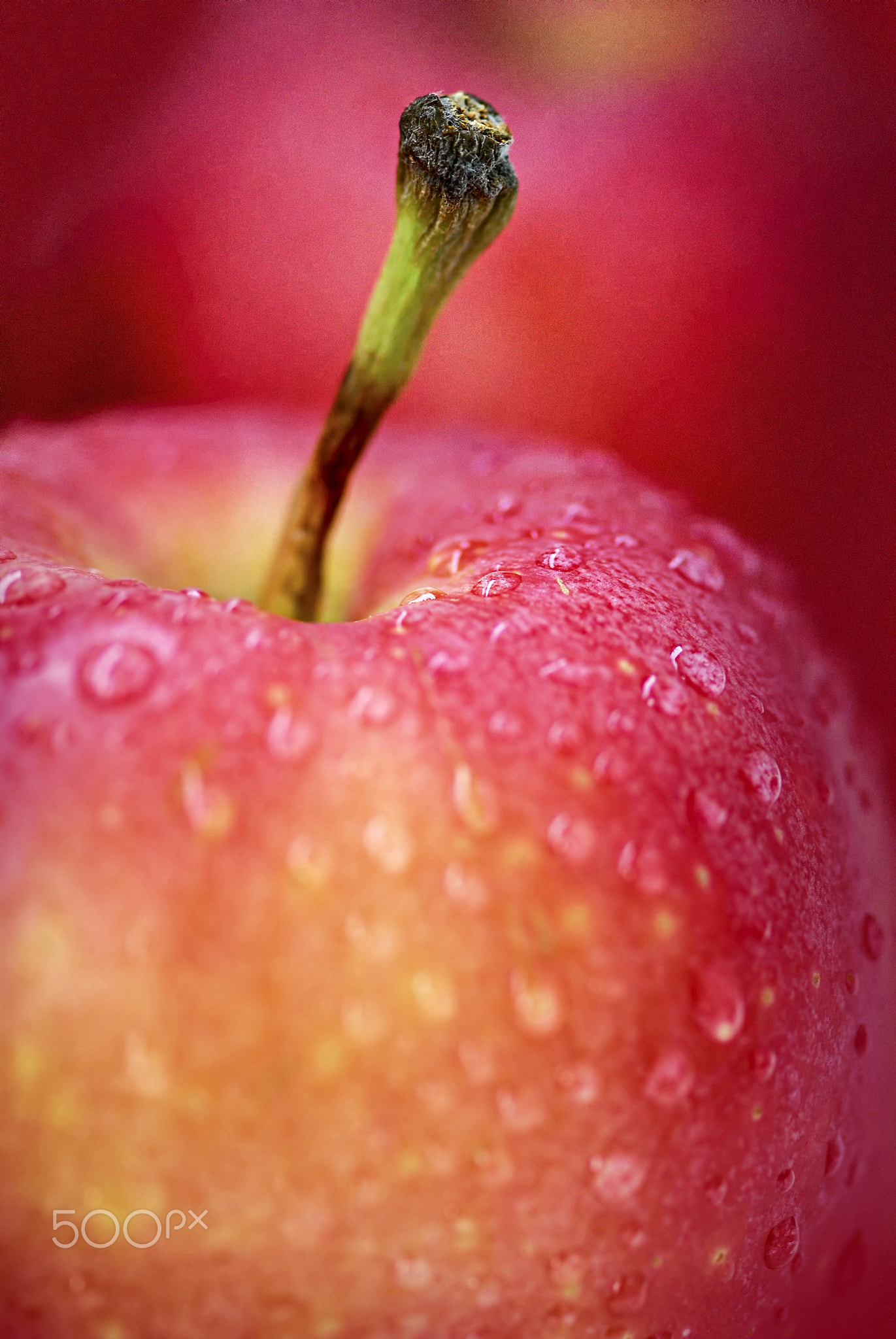 Red apples macro